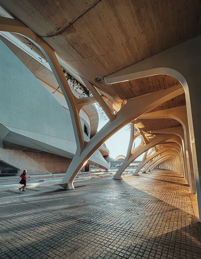 modern-architecture-of-valencia-XJ6ZZRB.jpg